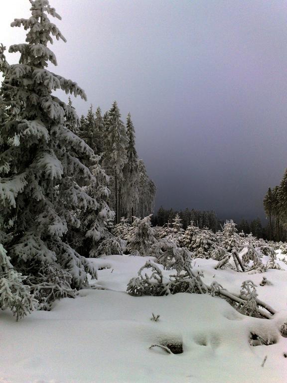 Heidehotel Hildfeld Winterberg Luaran gambar