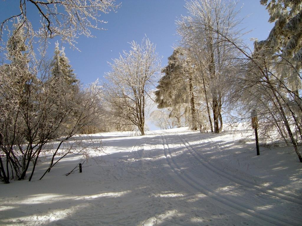 Heidehotel Hildfeld Winterberg Luaran gambar