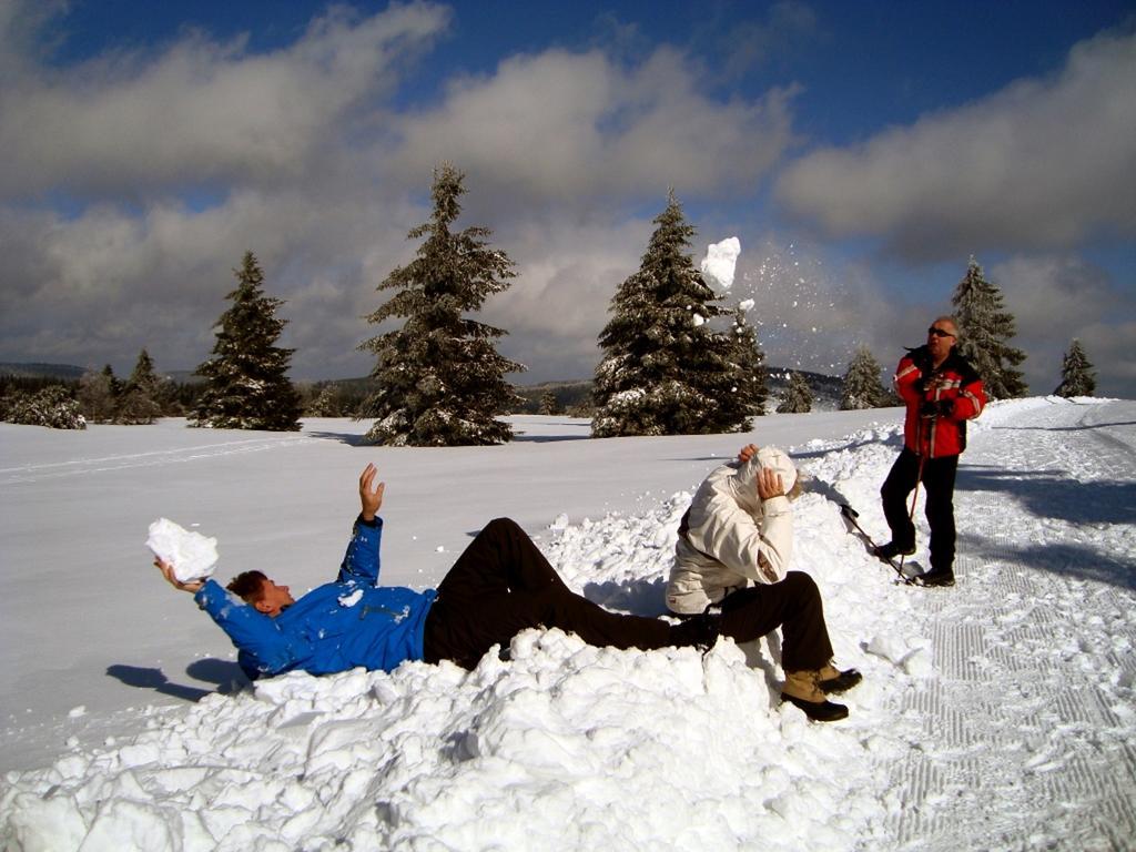 Heidehotel Hildfeld Winterberg Luaran gambar
